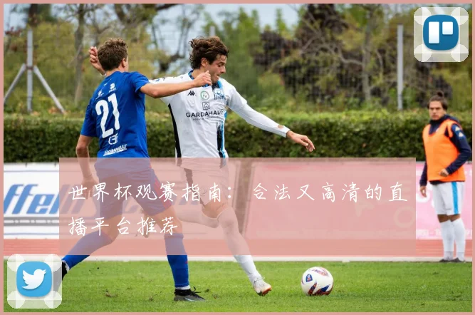 世界杯观赛指南:合法又高清的直播平台推荐
