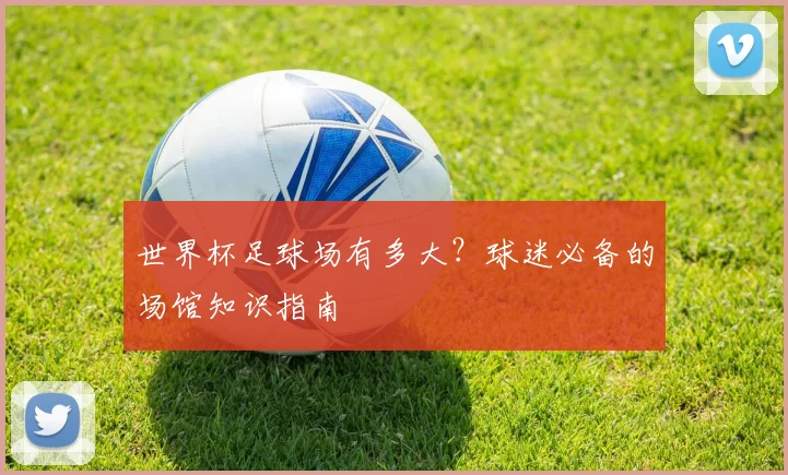 世界杯足球场有多大?球迷必备的场馆知识指南