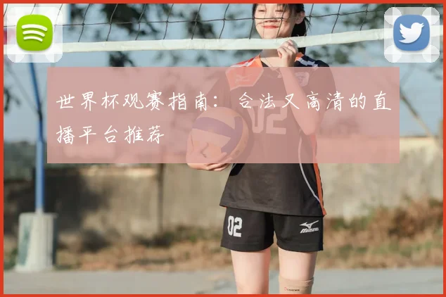 世界杯观赛指南:合法又高清的直播平台推荐