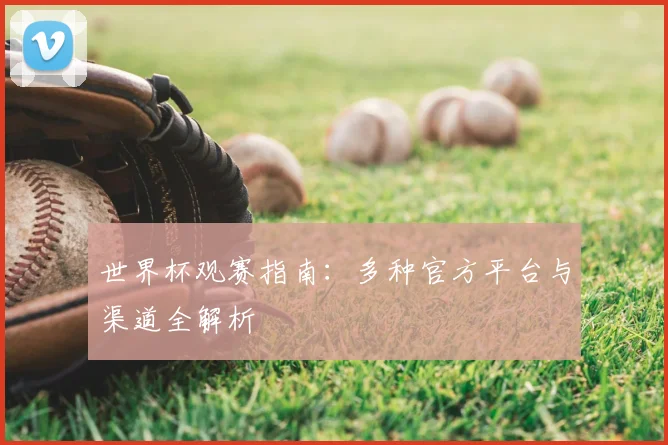 世界杯观赛指南:多种官方平台与渠道全解析